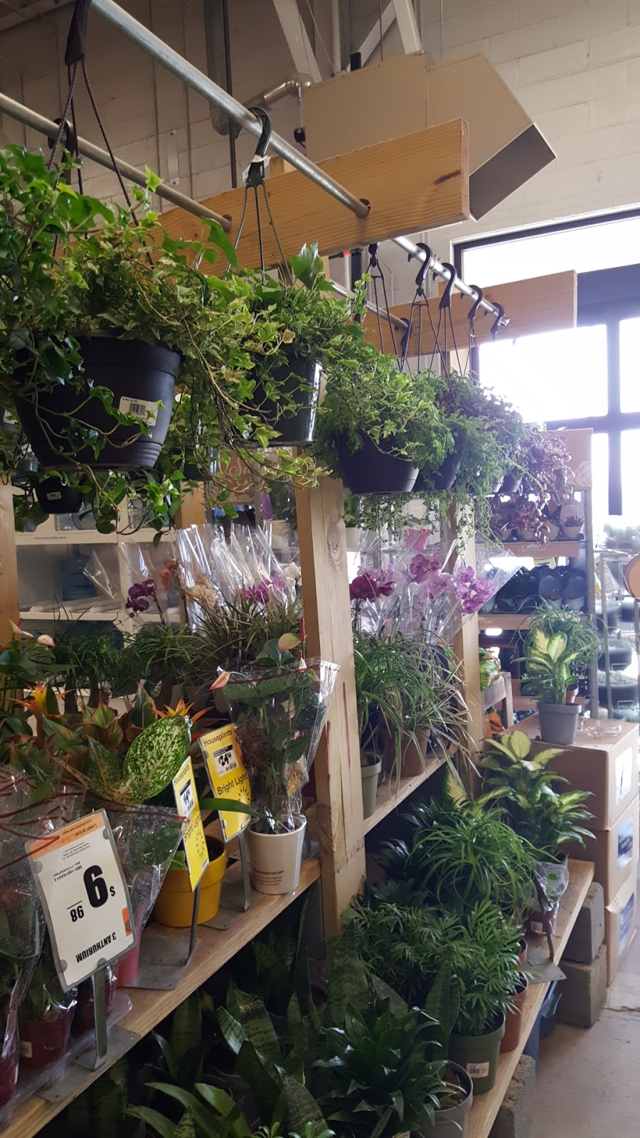 The Home Depot | 902 Murray Rd, East Hanover, NJ 07936, USA | Phone: (973) 887-4444