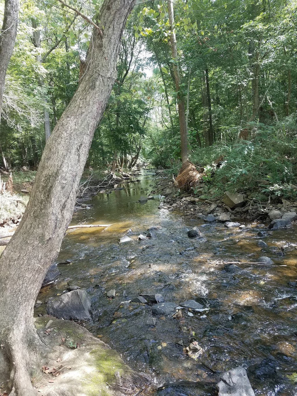 City Lake Park | 815 Concord Rd, Albemarle, NC 28001, USA | Phone: (704) 984-9560