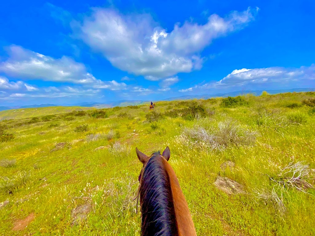 Baja by Horse | Rosarito, 22765 La Misión, B.C., Mexico | Phone: (760) 715-4639