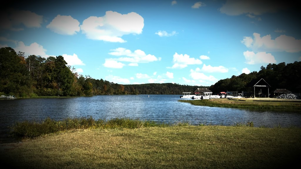 Paradise Point Marina & RV | 231 Paradise Point Dr Suite A, Columbiana, AL 35051, USA | Phone: (205) 669-1515