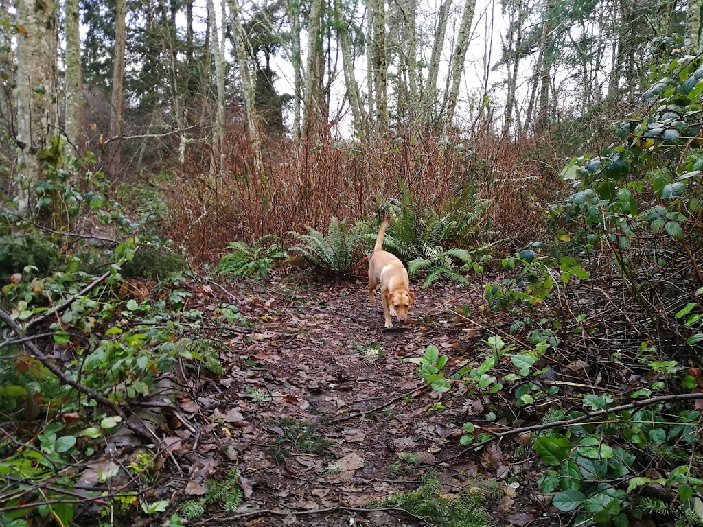 Tubbys Trail Dog Park | 1701 14th Ave NW, Gig Harbor, WA 98335, USA | Phone: (253) 858-3400