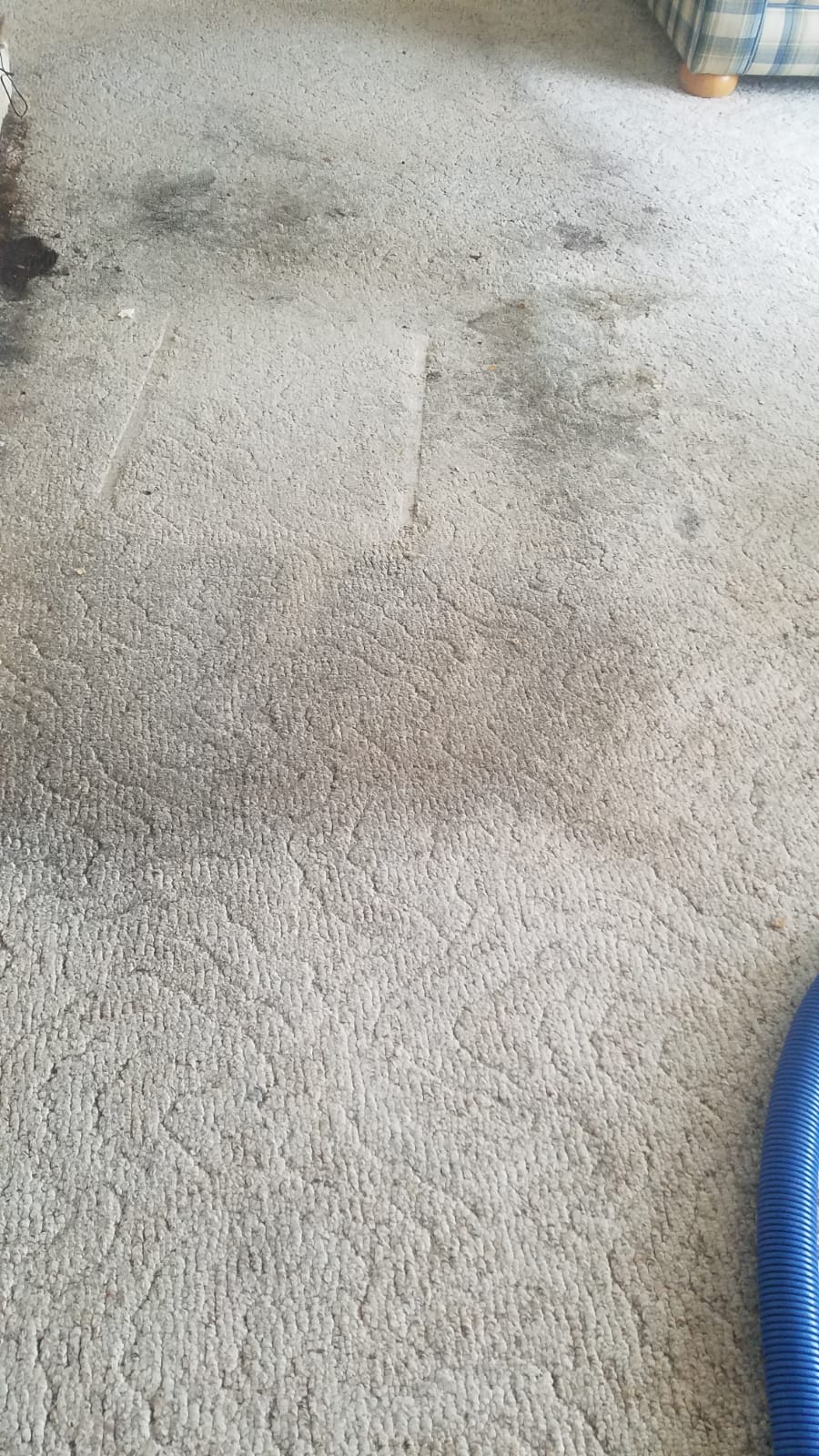 Jorges Carpet Cleaning & Auto Detail | 301 E 16th St, Schuyler, NE 68661, USA | Phone: (402) 350-5573