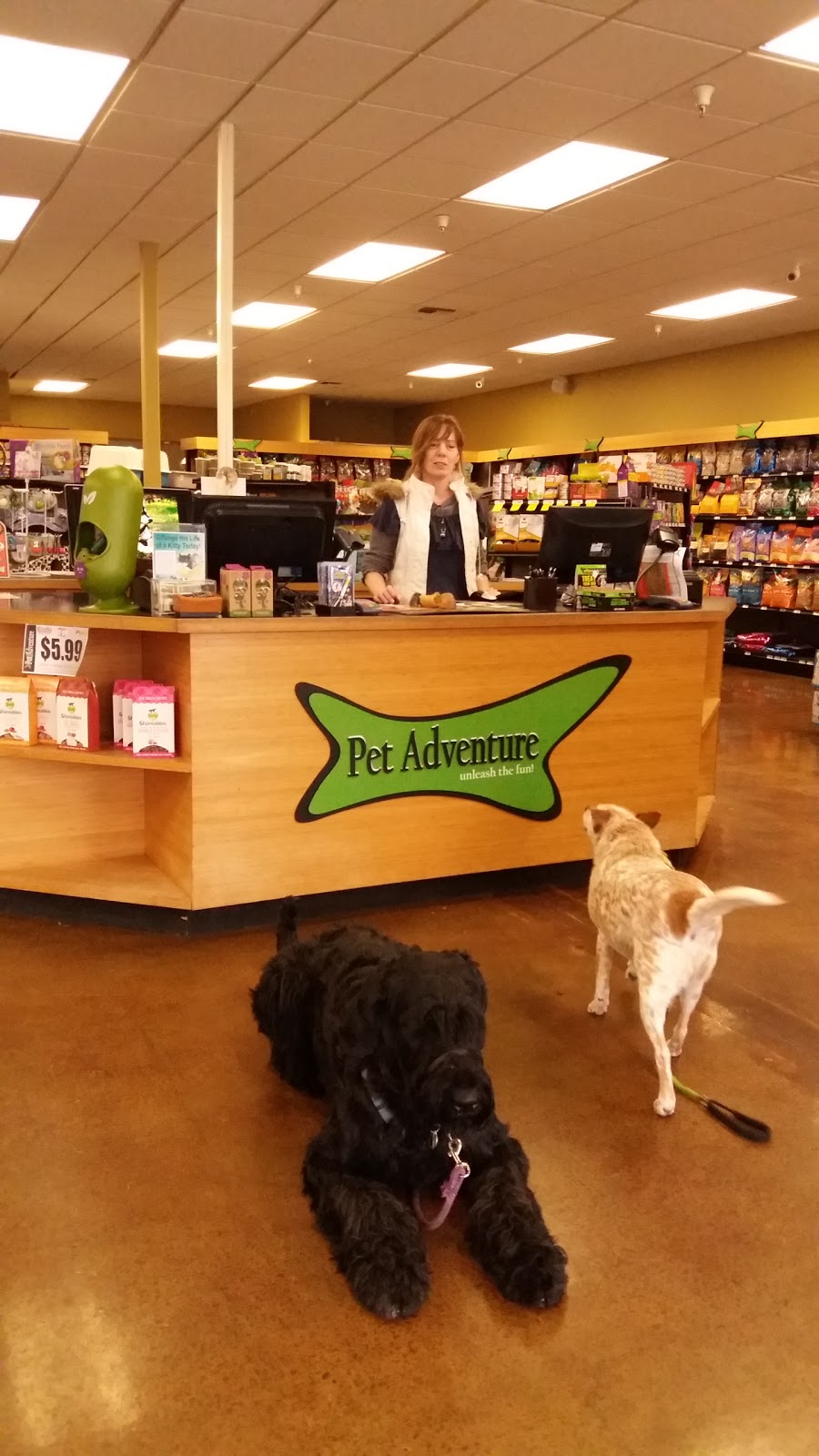 Pet Adventure | 22803 44th Ave W, Mountlake Terrace, WA 98043, USA | Phone: (425) 771-0676