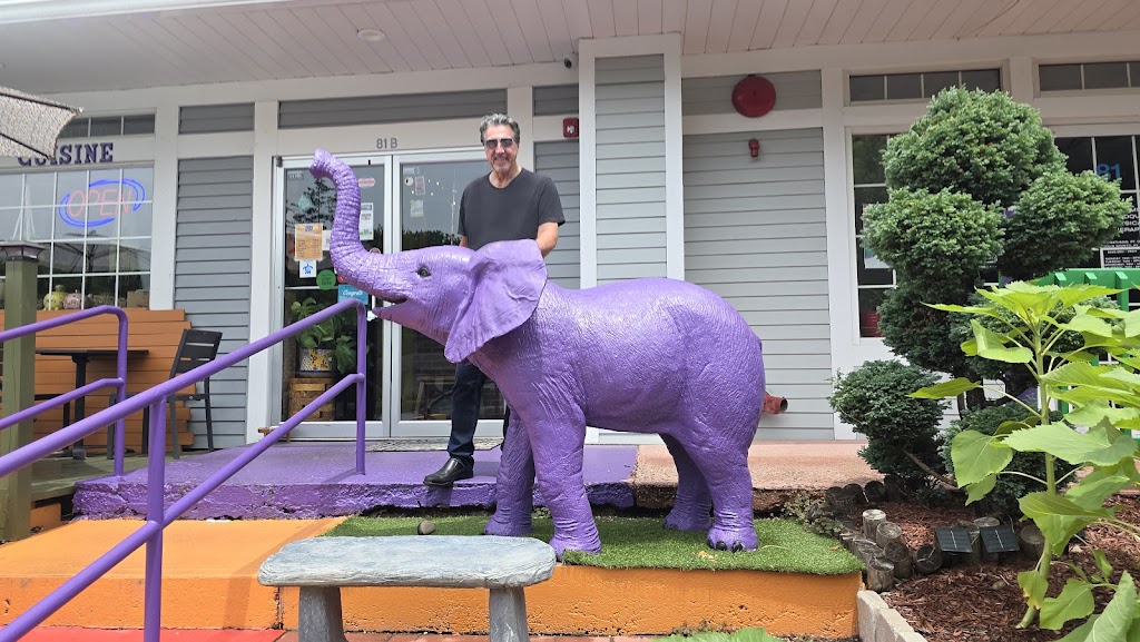 The Purple Elephant | 81b W Fort Salonga Rd, Northport, NY 11768, USA | Phone: (631) 651-5002