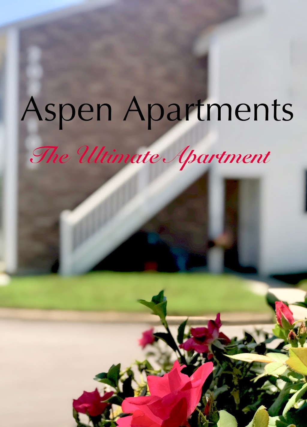 Aspen Apartments | 4217 S Plaza Trail, Virginia Beach, VA 23462, USA | Phone: (757) 330-4854