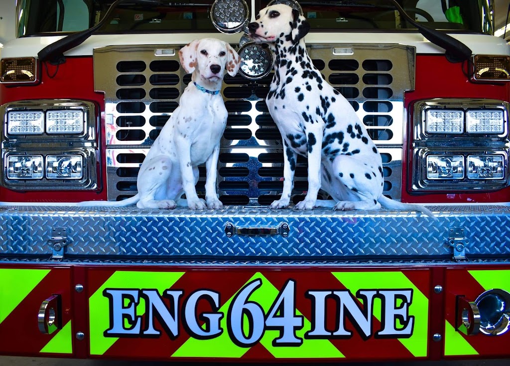 North Lexington Triangle Fire Department | 2976 Greensboro St Ext, Lexington, NC 27295, USA | Phone: (336) 248-4500