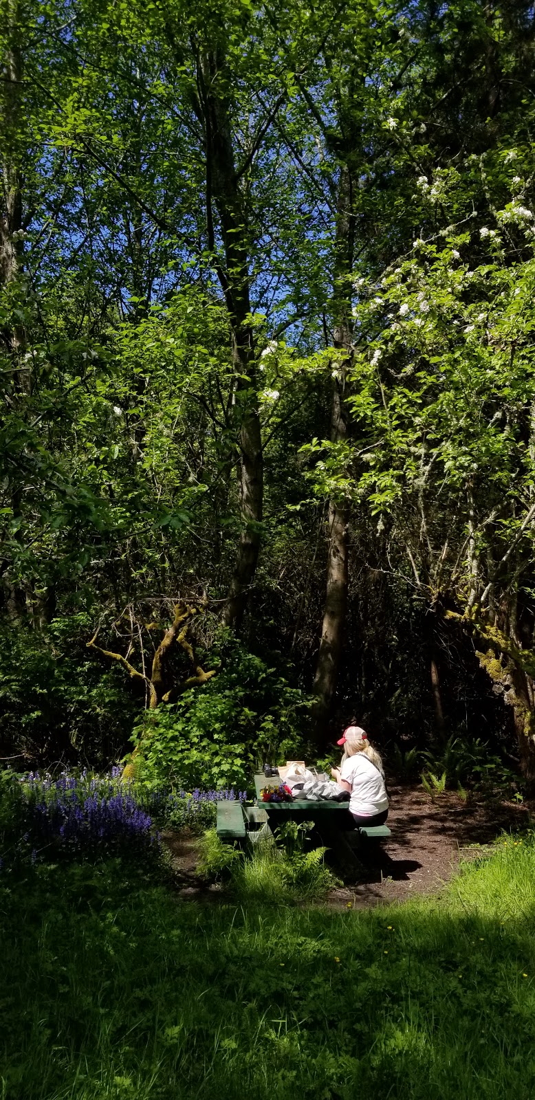 Puget Creek Gardens & Picnic Area | Alder Way, Tacoma, WA 98407, USA | Phone: (253) 779-8890