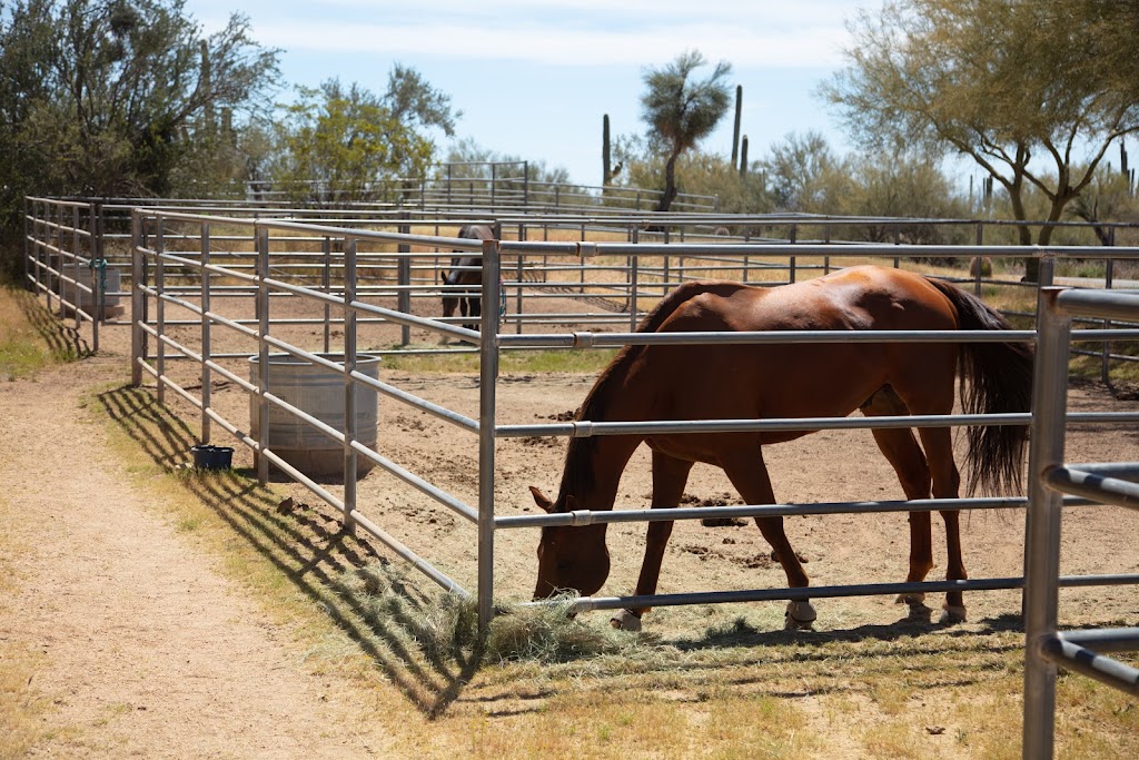 Ignite Counseling & Equine Psychotherapy | 6636 E Dale Ln, Scottsdale, AZ 85266, USA | Phone: (480) 271-5129