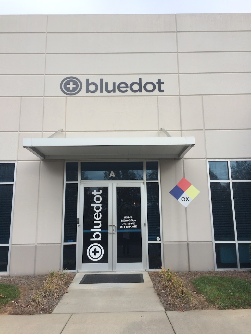 BlueDot Cares | 1816 Lyndhurst Ave, Charlotte, NC 28203, USA | Phone: (704) 247-8725