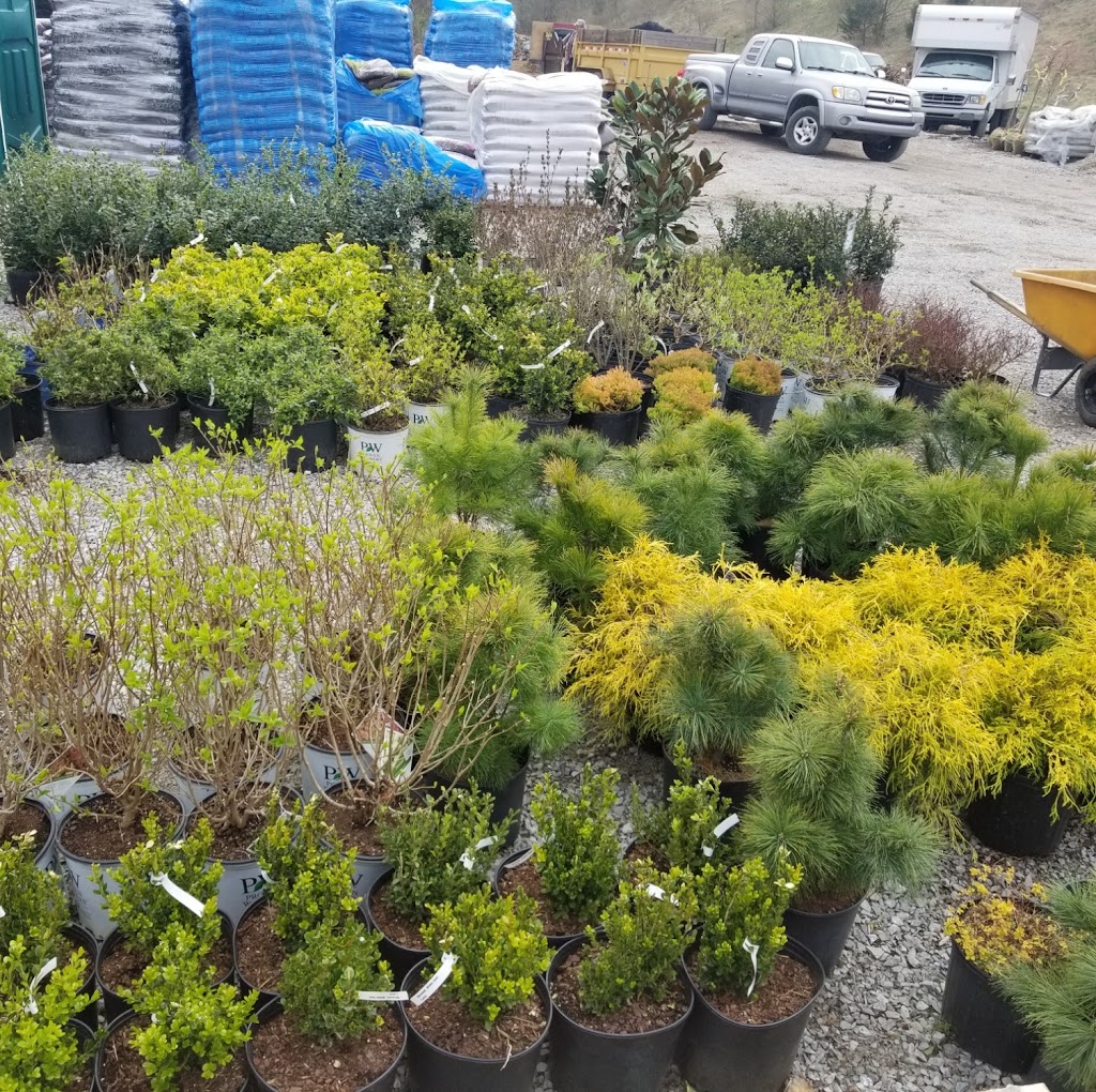 Shelby Nursery & Garden Center | 131 Mt Eden Rd, Shelbyville, KY 40065, USA | Phone: (502) 633-7870