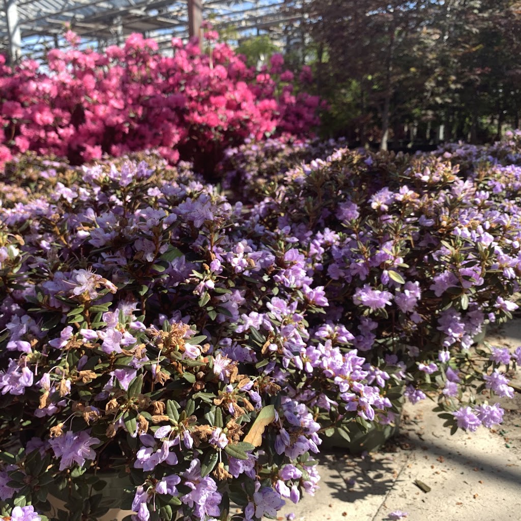 SiteOne Landscape Supply | 4N755 Foxdale Dr, Addison, IL 60101, USA | Phone: (630) 773-8090