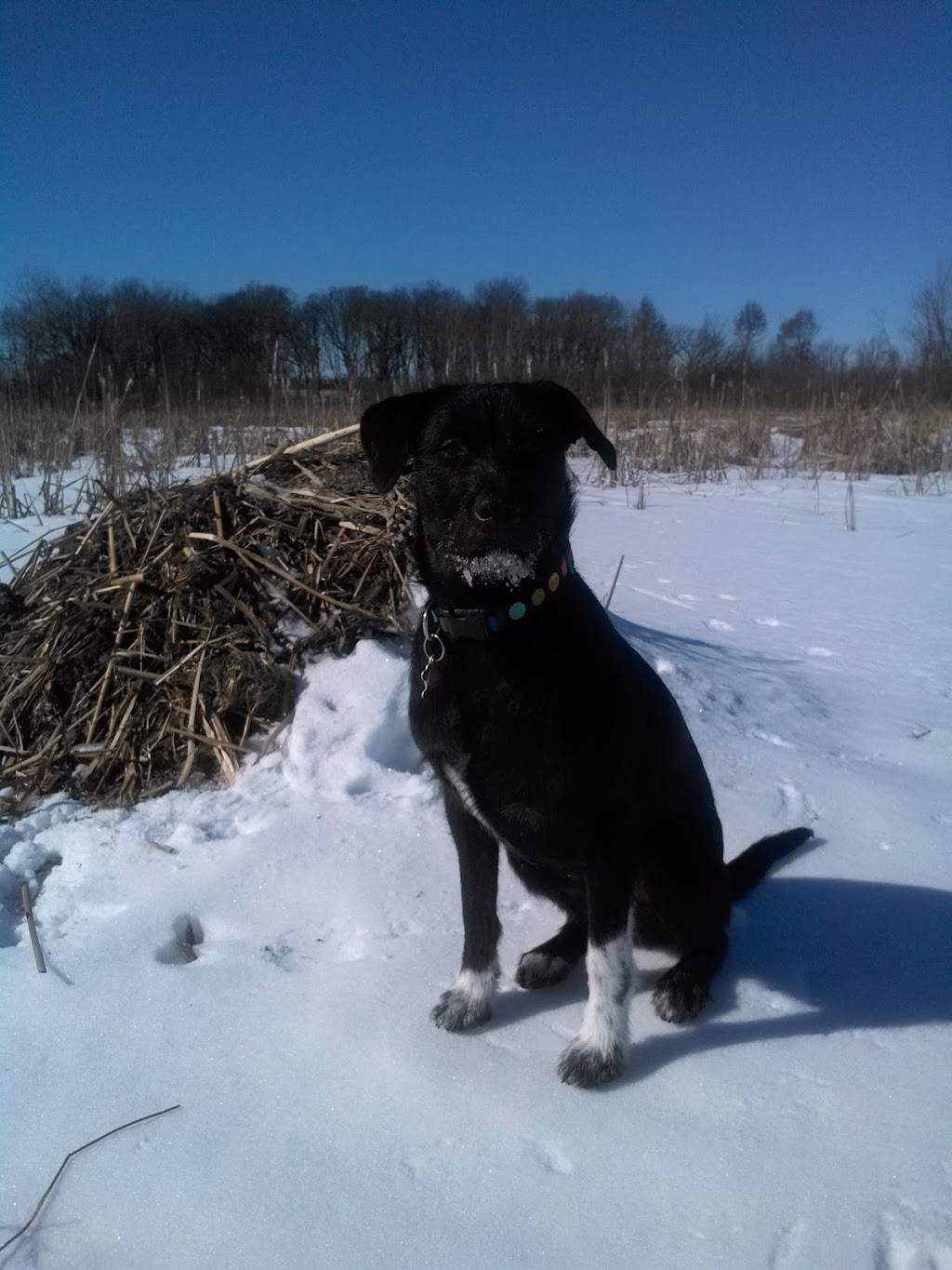 Grassy Lake State Natural Area | Otsego Rd, Rio, WI 53960, USA | Phone: (608) 266-2621