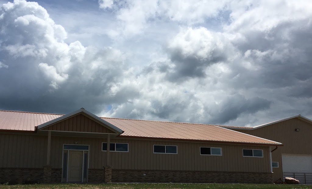 Stoffel Equine Veterinary Clinic | 26336 130th Ave, Welch, MN 55089, USA | Phone: (651) 247-3347