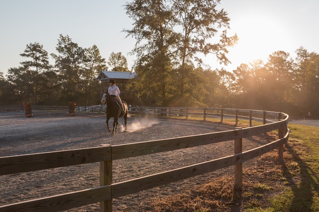 Falcon Hill Farm | 785 Paradise Cove Ln, Wilsonville, AL 35186, USA | Phone: (205) 602-3939