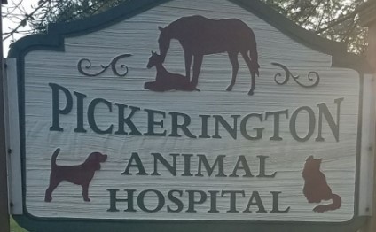 Pickerington Animal Hospital | 7495 Basil Western Rd, Canal Winchester, OH 43110, USA | Phone: (614) 837-6771