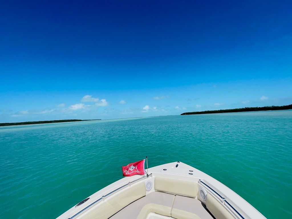 Sea the Islands - Charter Tours | 19 Harbor Dr, Key Largo, FL 33037, USA | Phone: (309) 826-3424