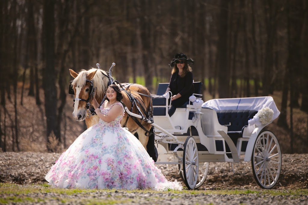 Southern Breezes Carriages | 4126 Medlin Rd, Monroe, NC 28112, USA | Phone: (704) 301-5111
