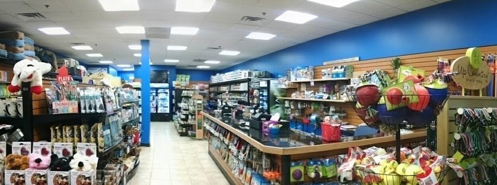 Dawg City Pet Supply and Nutrition Center | 546 Turnpike St, North Andover, MA 01845 | Phone: (978) 683-2947