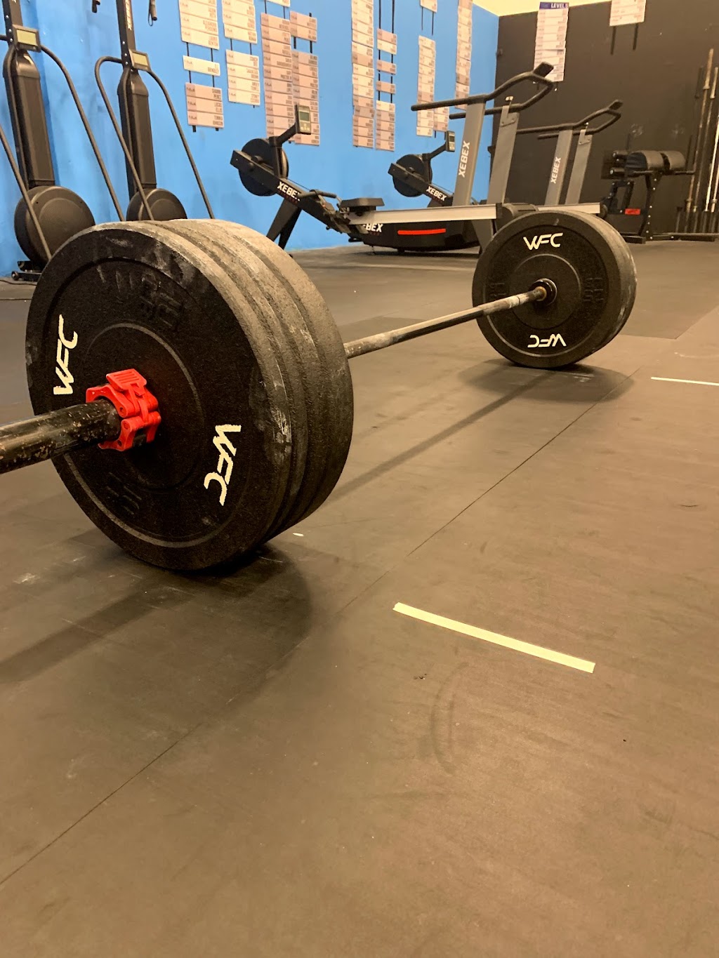 Warrior Fitness Camp | 4747 SW 51st St Bay 15, Davie, FL 33314, USA | Phone: (954) 225-8881