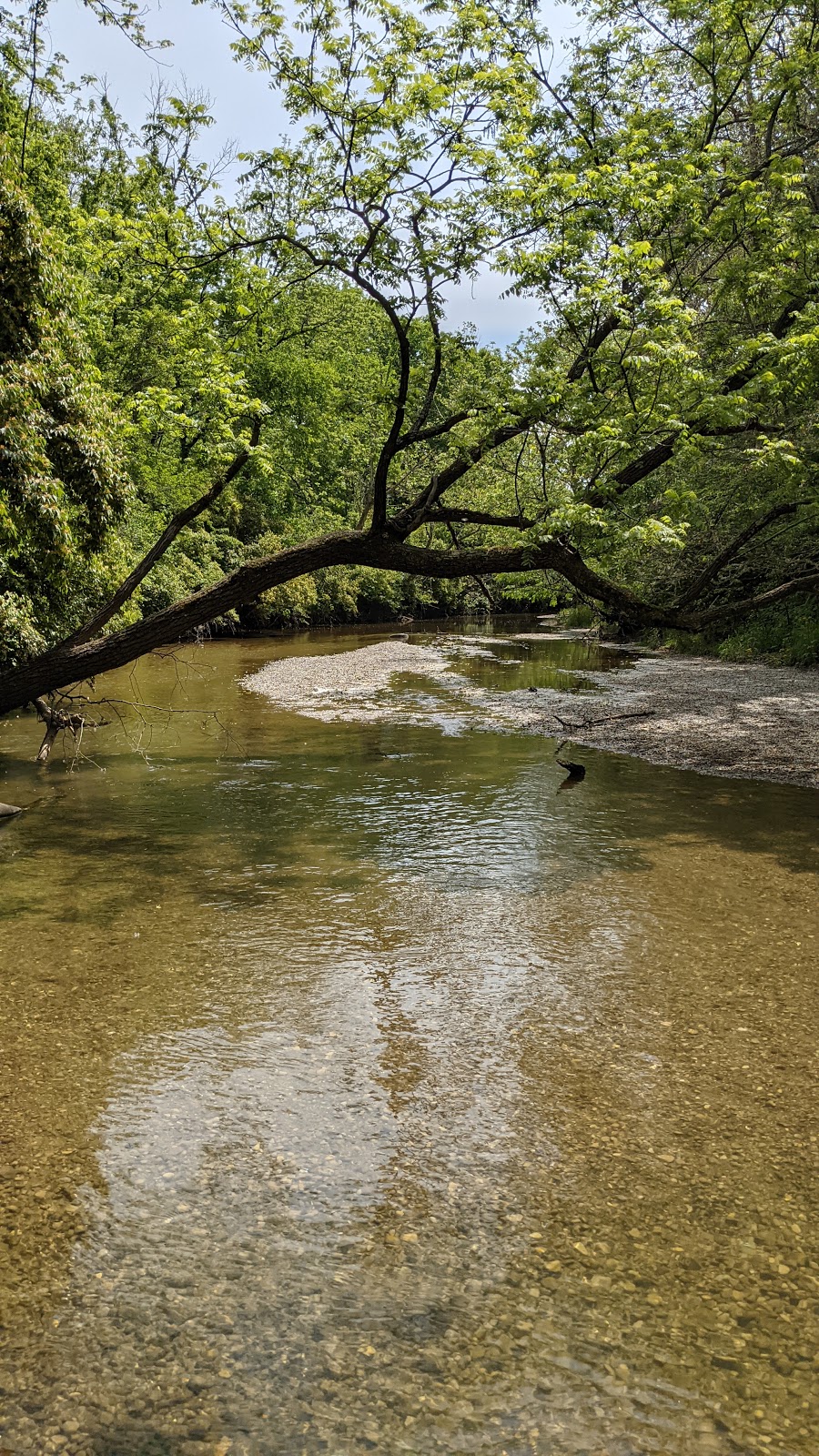 Kinnikinnick Wildlife Area | Orr Rd, Chillicothe, OH 45601, USA | Phone: (740) 589-9930