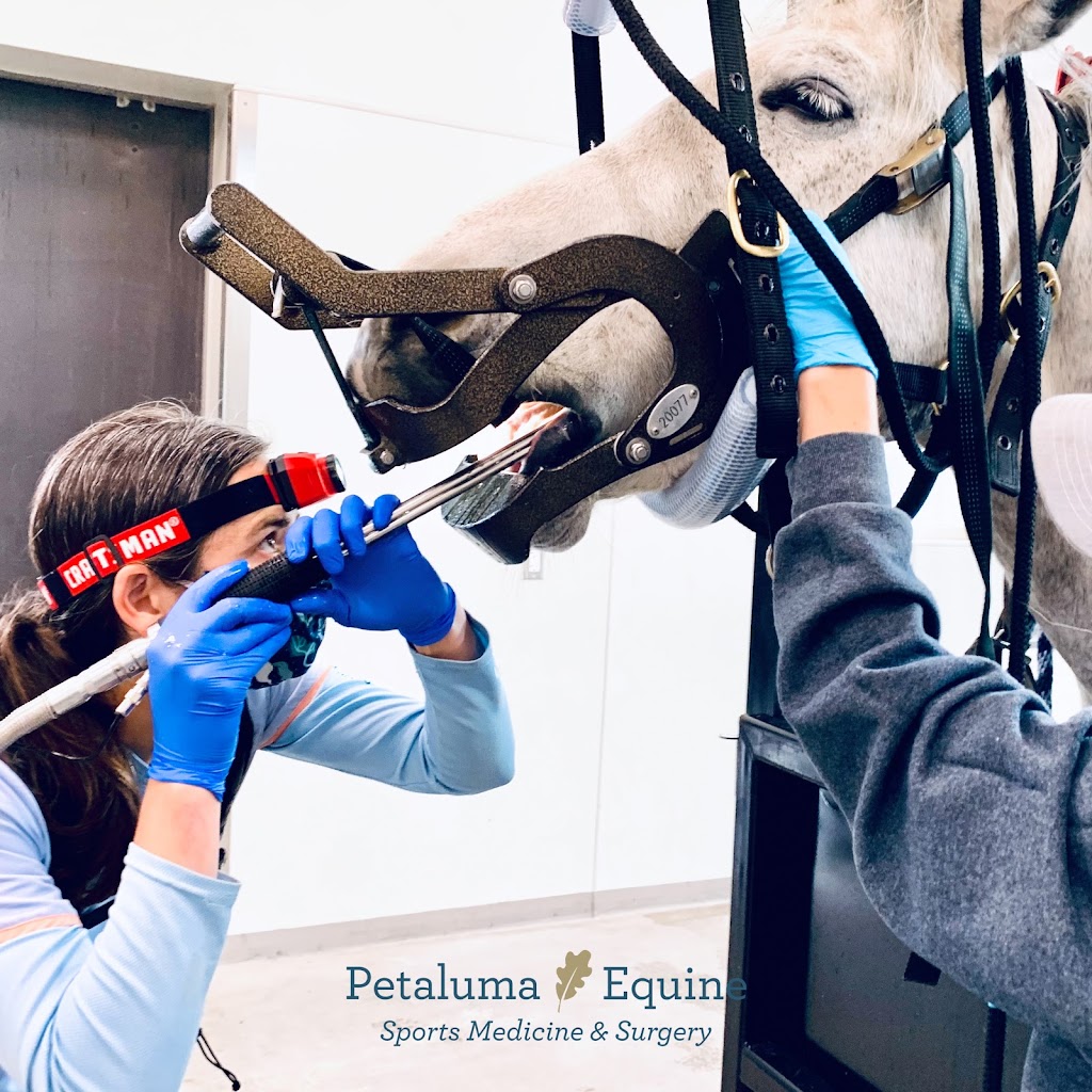 Petaluma Equine | 911 Mustang Ct, Petaluma, CA 94954, USA | Phone: (707) 721-4402