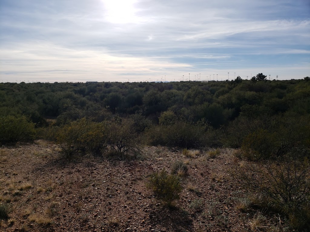 Lower Lincoln Park | 8280 E Escalante Rd, Tucson, AZ 85730, USA | Phone: (520) 791-4873