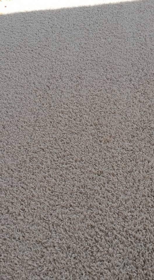 Denton County Carpet Cleaning | 927 Imperial Dr, Denton, TX 76209, USA | Phone: (940) 300-0050