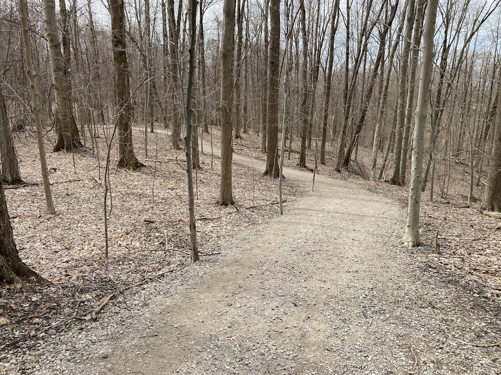 The West Woods | 9465 Kinsman Rd, Novelty, OH 44072, USA | Phone: (440) 286-9516