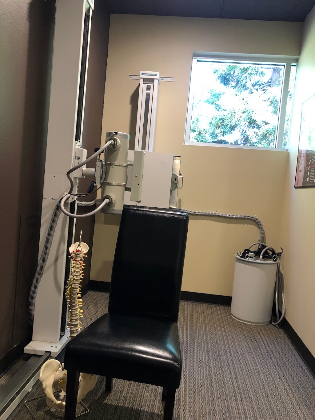 Life Giving Chiropractic | 1930 S Bascom Ave #230, Campbell, CA 95008, USA | Phone: (408) 340-5055