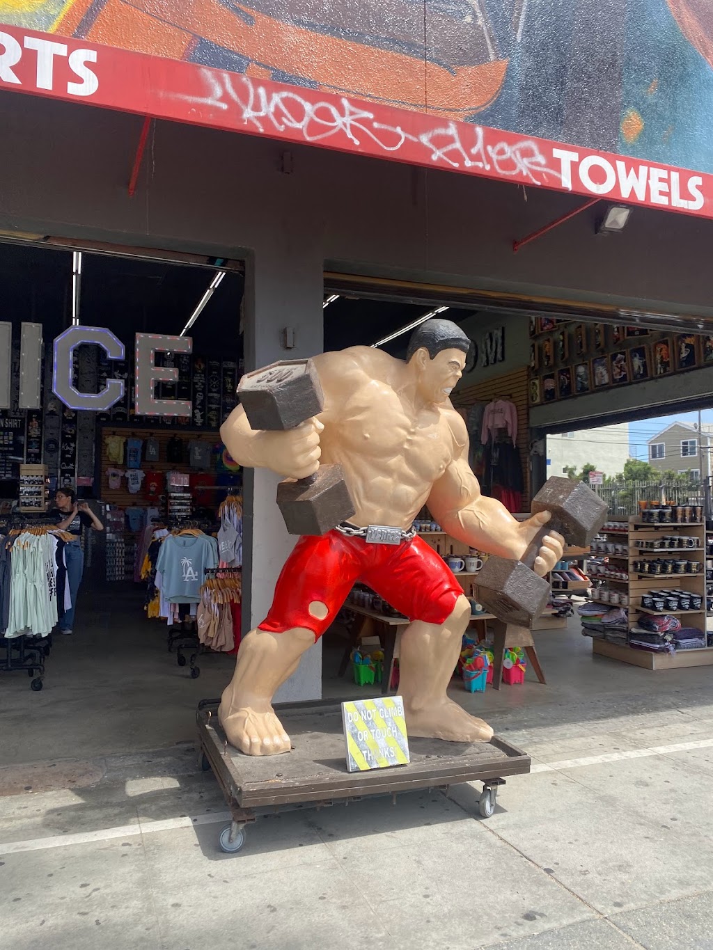 Muscle Beach Venice Gym | 1817 Ocean Front Walk, Venice, CA 90291, USA | Phone: (310) 396-6764