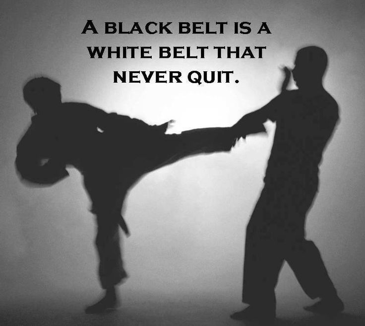 Karate Atlanta Brookwood | 2569 Peachtree Pkwy #245, Suwanee, GA 30024, USA | Phone: (770) 888-9220