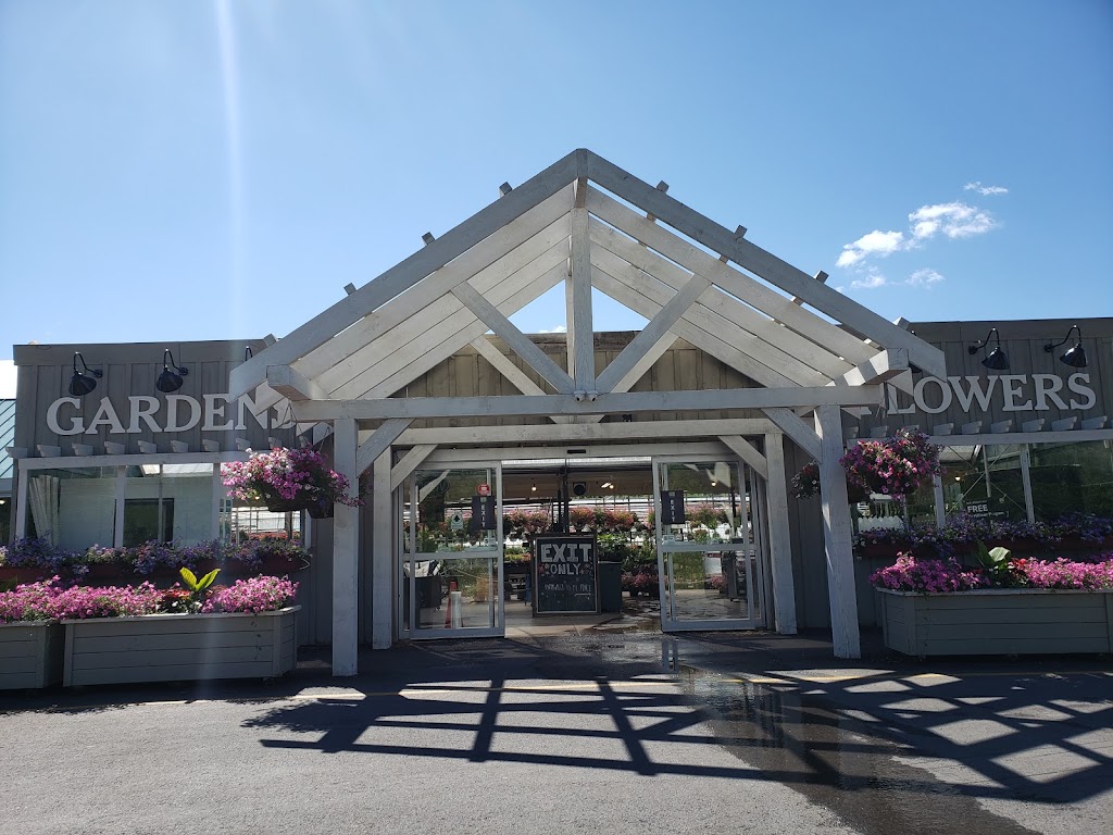 Country Basket Garden Centre | 10008 Lundys Ln, Niagara Falls, ON L2H 0T6, Canada | Phone: (905) 358-5811