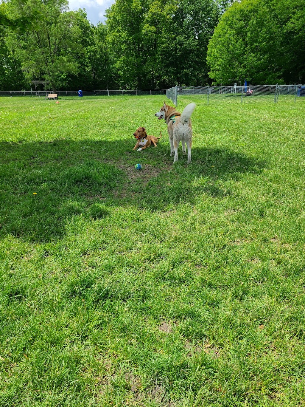 Civic Center Park-Dog Park | 40700 Romeo Plank Rd, Clinton Twp, MI 48038, USA | Phone: (586) 286-9336