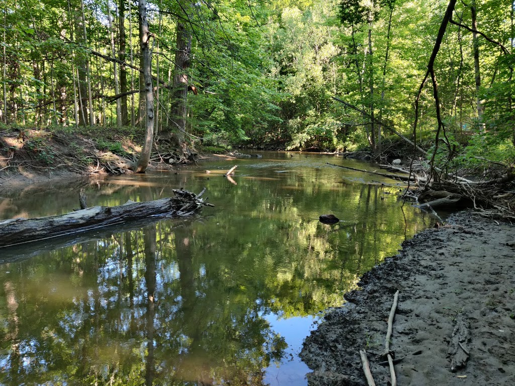 Douglas Evans Nature Preserve | 31845 Evergreen Rd, Beverly Hills, MI 48025, USA | Phone: (248) 646-6404