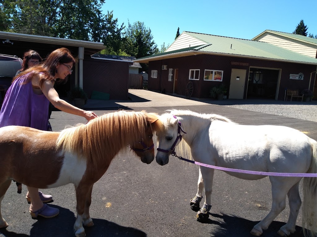 Columbia Equine Hospital | 27841 SE Orient Dr, Gresham, OR 97080, USA | Phone: (503) 663-1515