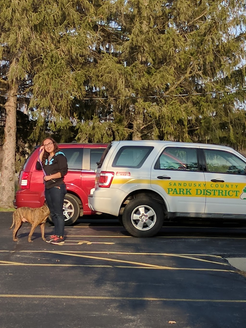 Countryside Park | Countryside Park-Sandusky County Park District Main Office 1970, Countryside Pl, Fremont, OH 43420, USA | Phone: (419) 334-4495