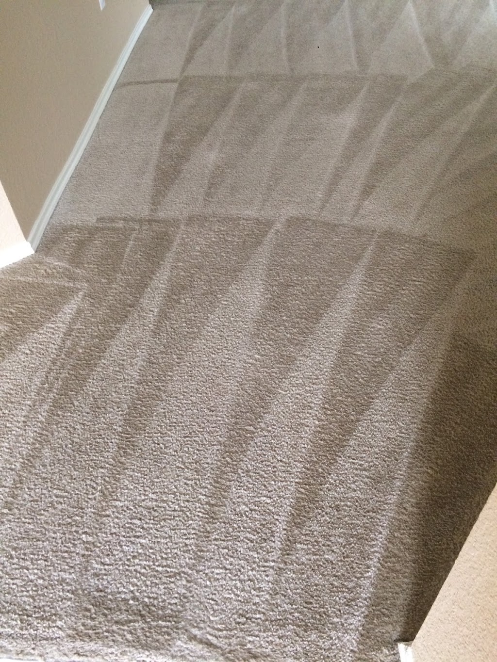 Fresh Green Carpet Cleaning | 5600 Wharton Dr, Fort Worth, TX 76133, USA | Phone: (682) 701-8393