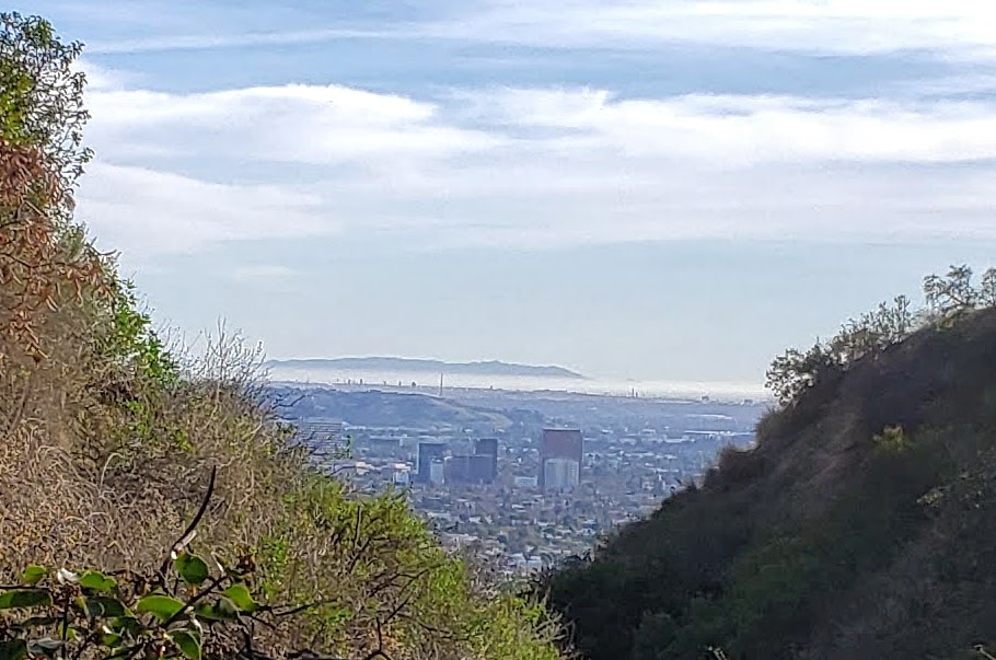 Runyon Canyon Flag | W Ridge Hiking Trail, Los Angeles, CA 90046, USA | Phone: (310) 903-8718