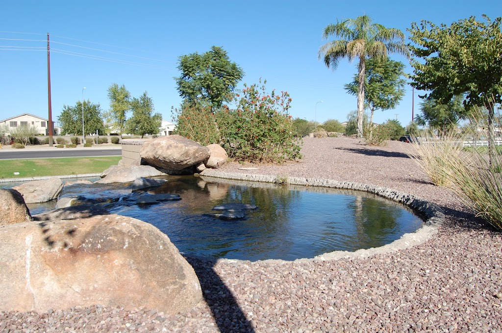 Pioneer Landscape Centers | 6101 S Mann Ave, Tucson, AZ 85756 | Phone: (520) 664-0200