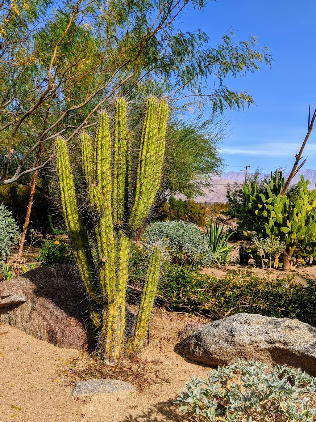 Hacienda Del Sol | 610 Palm Canyon Dr, Borrego Springs, CA 92004, USA | Phone: (760) 440-4778