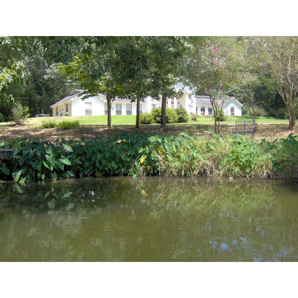 Lake Rosemound Inn Bed & Breakfast | 10473 Lindsey Ln, St Francisville, LA 70775, USA | Phone: (225) 635-3176