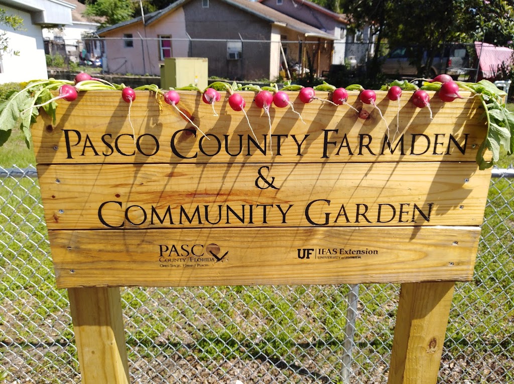 Pasco County Farmden & Community Garden | 15029 14th St, Dade City, FL 33523, USA | Phone: (352) 521-1255