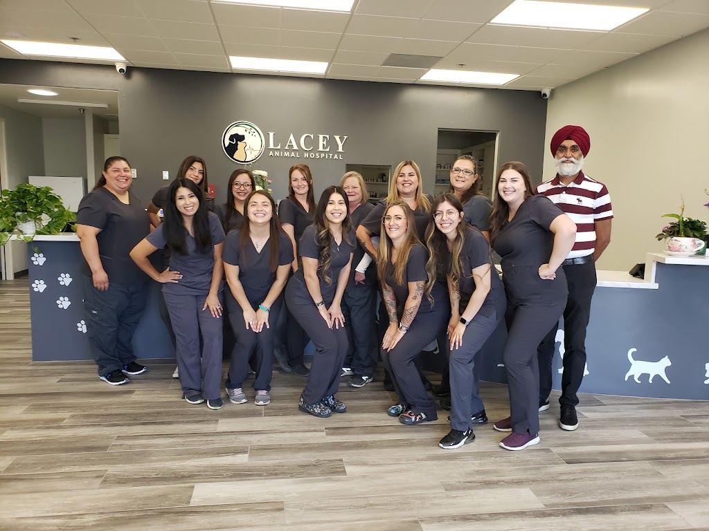 Lacey Animal Hospital Hanford | 1863 W Lacey Blvd, Hanford, CA 93230, USA | Phone: (559) 584-9251