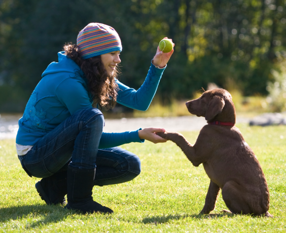 Bucks County Vets | 978 Easton Rd, Warrington, PA 18976, USA | Phone: (215) 918-2200