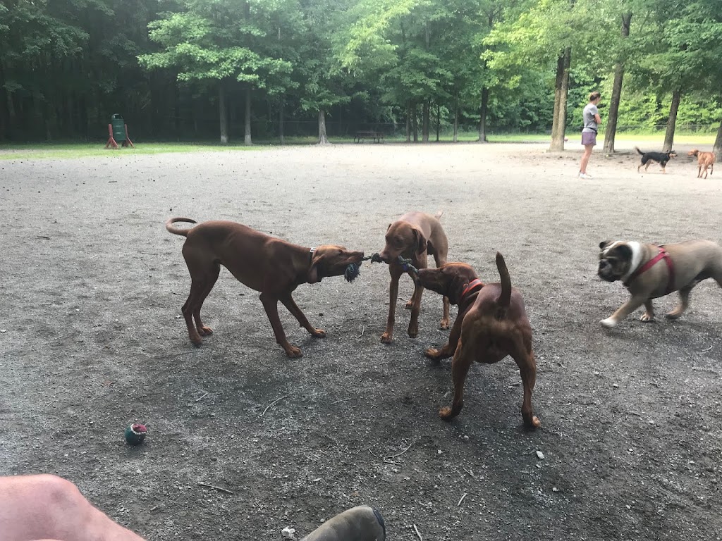 Grist Mill Dog Park | 4710 Mount Vernon Memorial Hwy, Alexandria, VA 22309, USA | Phone: (703) 324-7329