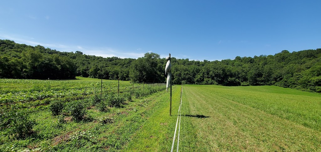 Hickman Creek Nature Center | 2830 Sugar Creek Pike, Nicholasville, KY 40356, USA | Phone: (859) 885-2310 ext. 1014