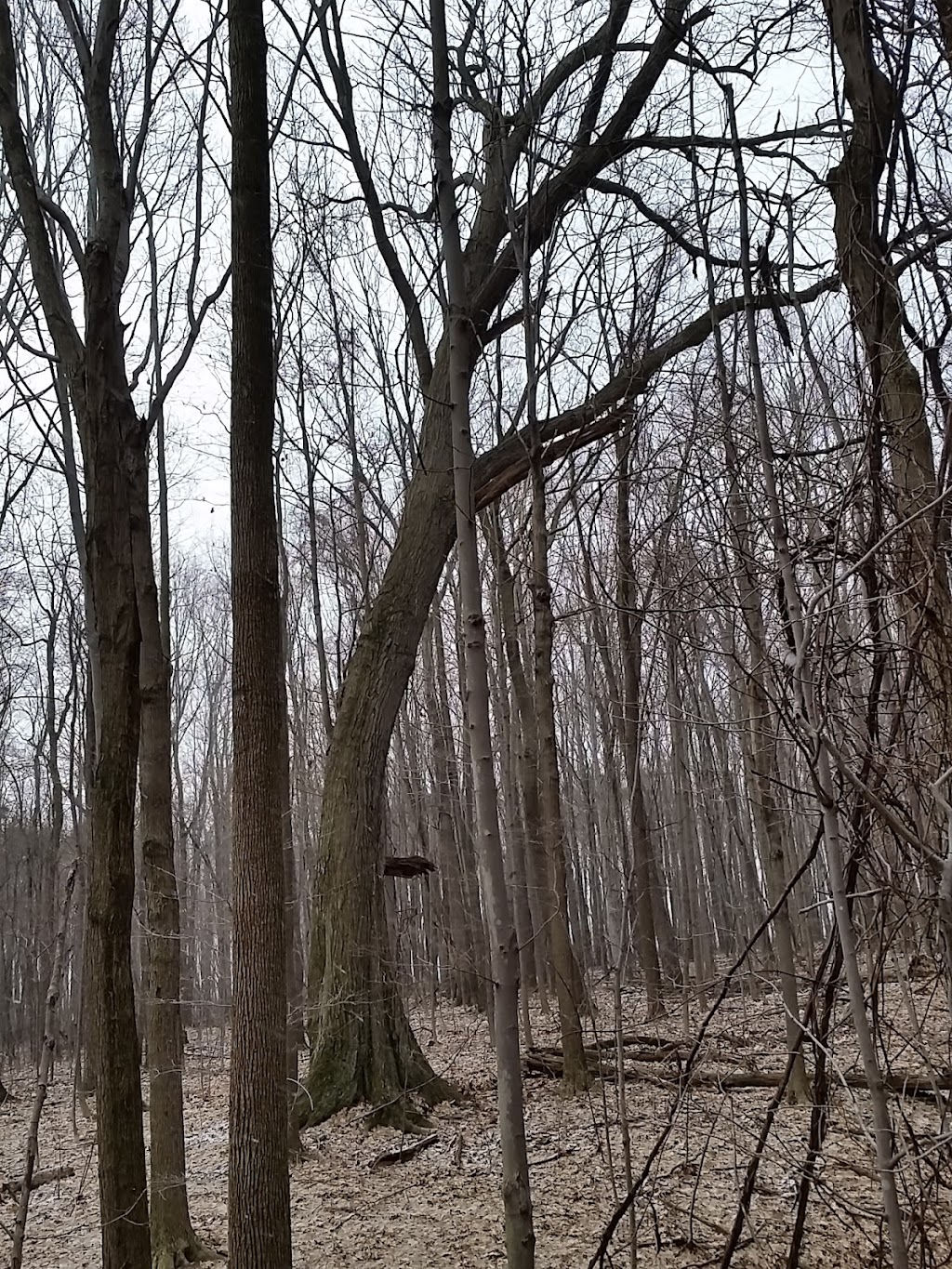 Grace Baptist Church | 5915 Rhodes Rd, Kent, OH 44240, USA | Phone: (330) 678-9019