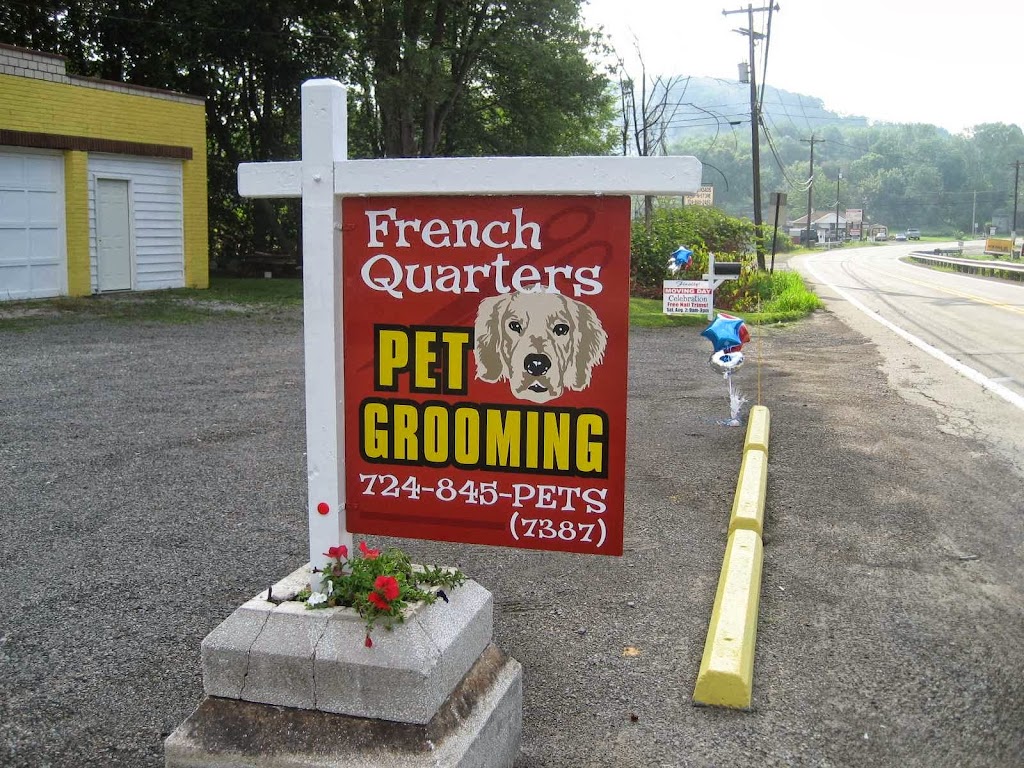French Quarters Pet Grooming | 1140 PA-356, Leechburg, PA 15656, USA | Phone: (724) 845-7387