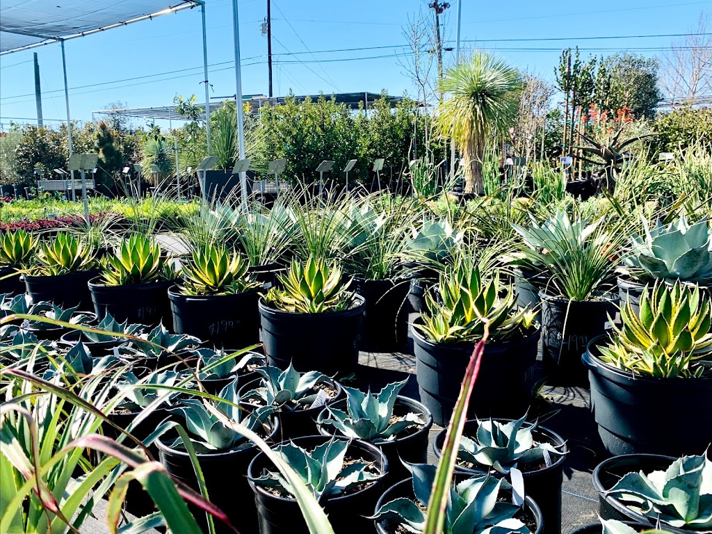 Vivero Growers Nursery | 12000 US-290, Austin, TX 78737 | Phone: (512) 587-4476