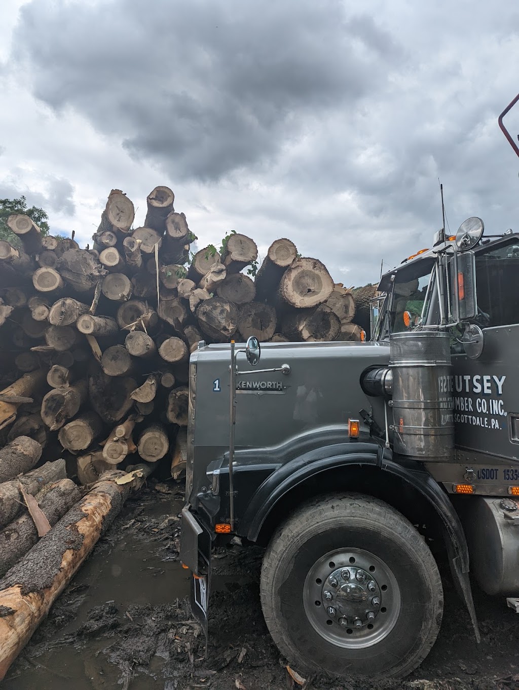 Eutsey Lumber Inc | Eutsey Rd, Scottdale, PA 15683, USA | Phone: (724) 887-7507